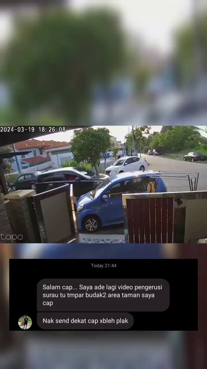 Embedded video