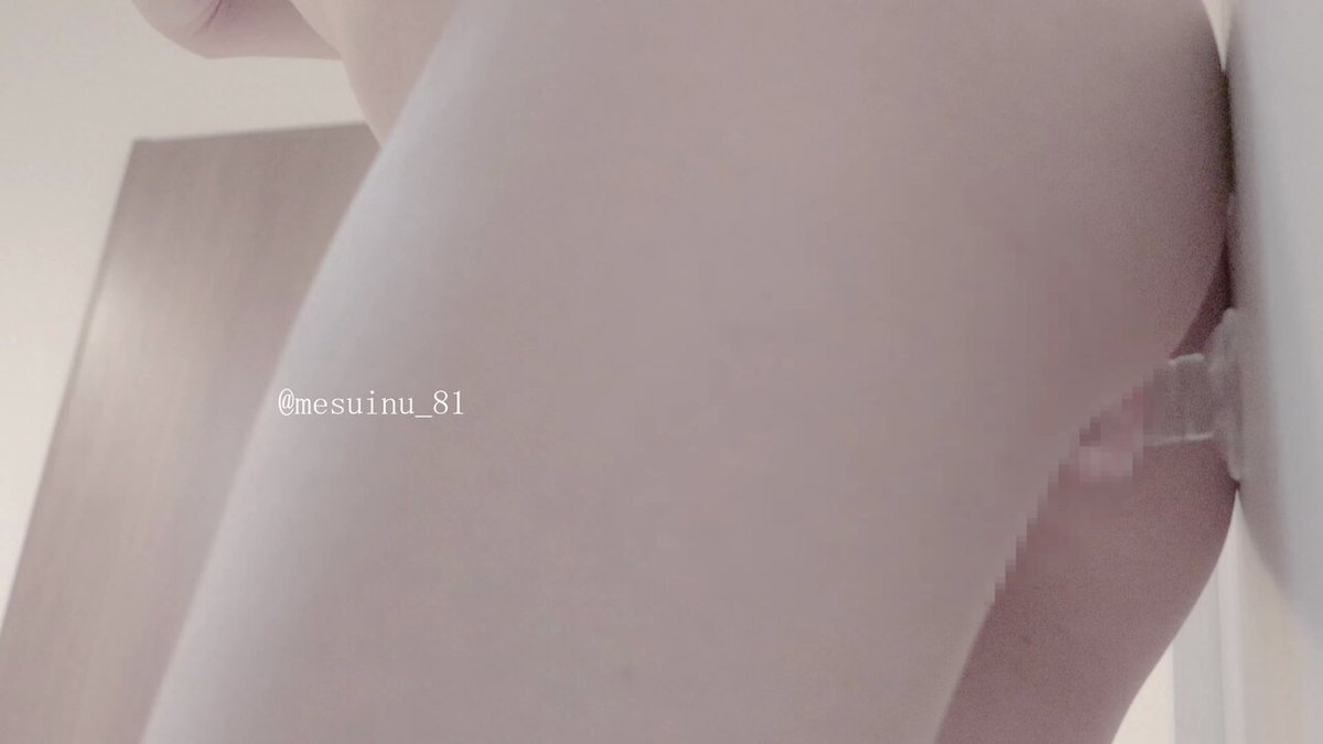 Video by @mesuinu_81