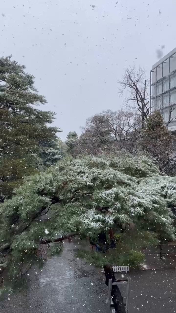 成城大学図書館 (@seijouniv_lib) / X 成城大学図書館 (@seijouniv_lib) / X
