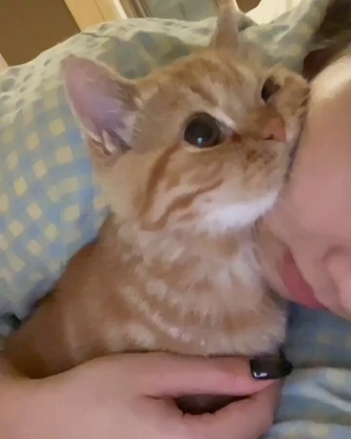媒体预览