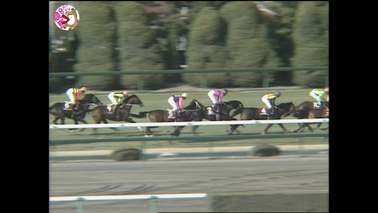 カンテレ競馬 on X: カンテレ競馬 on X: