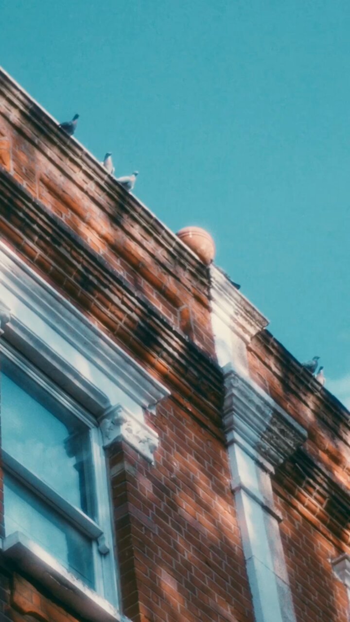 凛として時雨 on X: 