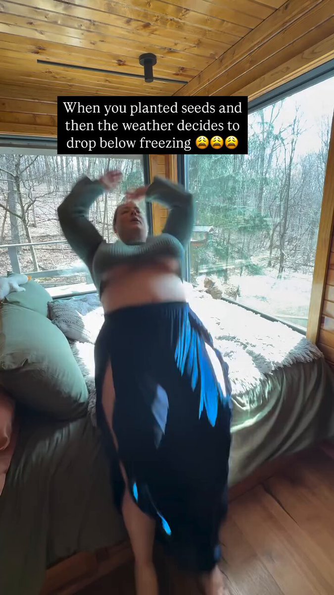 @cozycabinmons video Tweet
