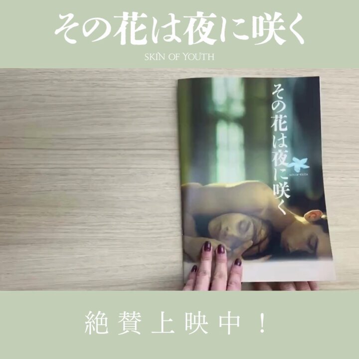 Amazon.co.jp: 【チラシ付映画パンフレット】 『あの花が咲く丘