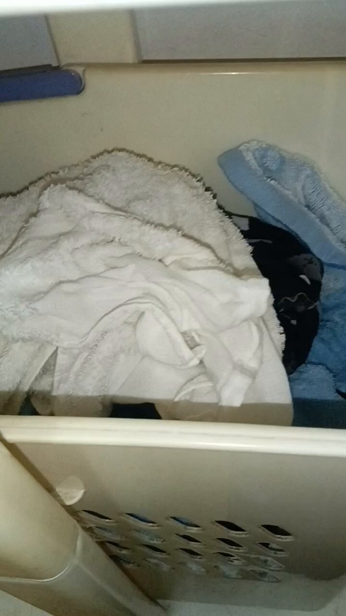 Video oleh @lIvZ6Hyzmr70399