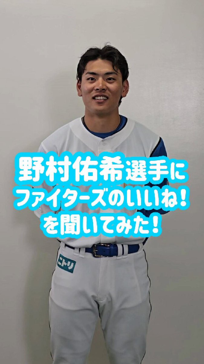 北海道日本ハムファイターズ 野村佑希選手 実使用バット