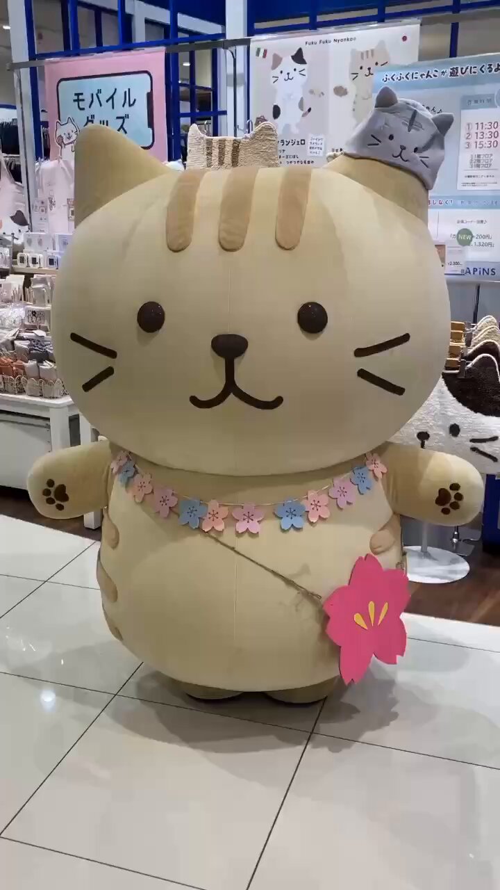 Fuku Fuku Nyanko(ふくふくにゃんこ) on X: 