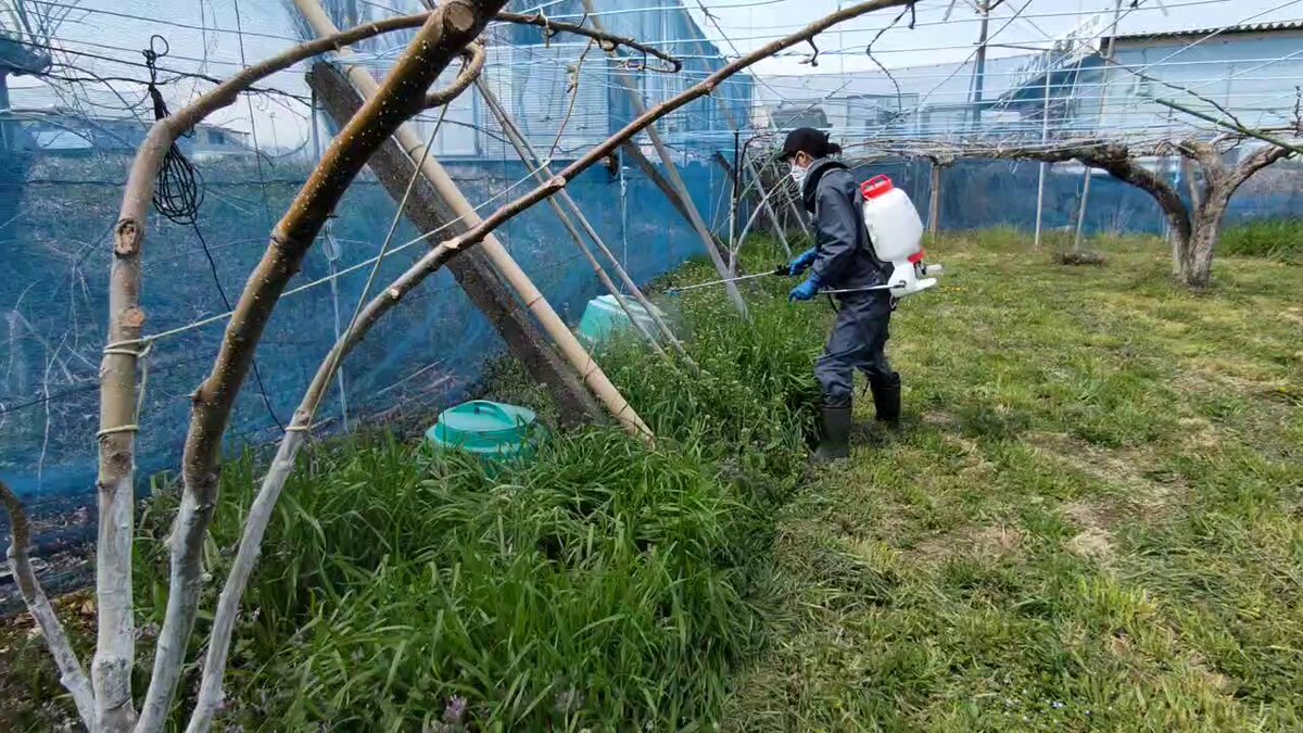 小町ファームページ 金澤兼六製菓 金澤小町 おかき詰合せ 計300g｜うさマート