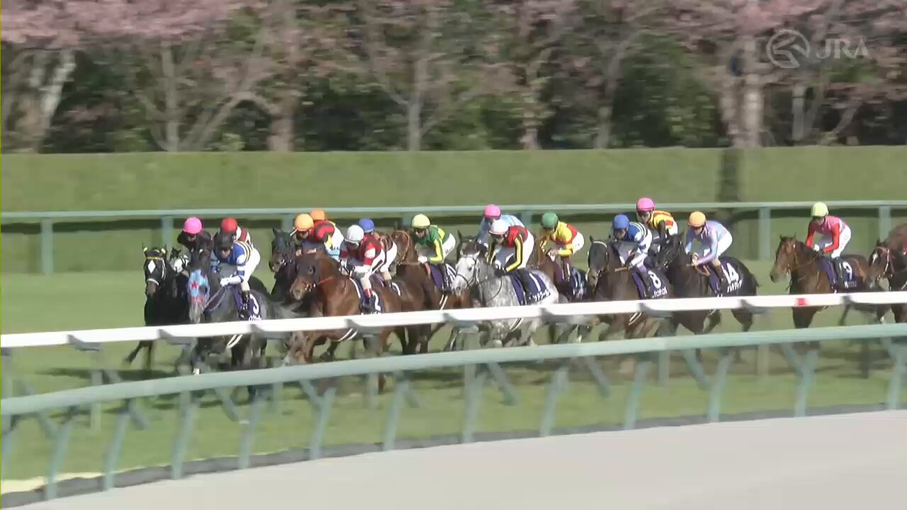 JRA World Racing on X: 