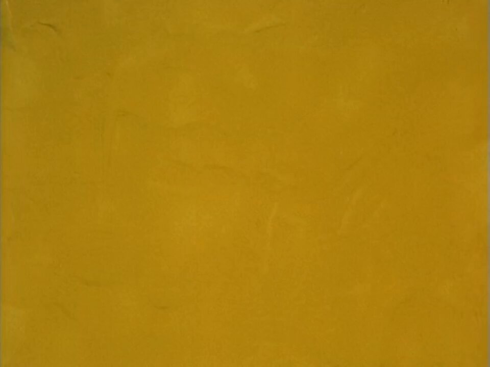 Video oleh @anime8cm