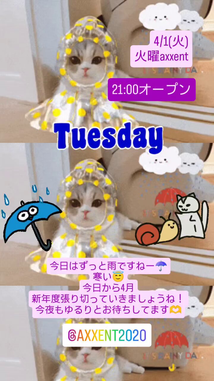 激安なりましたよ♡︎(❊︎´︶`❊︎)。۞·: ラスト激安お見逃しなく‼️ axxent on X: 