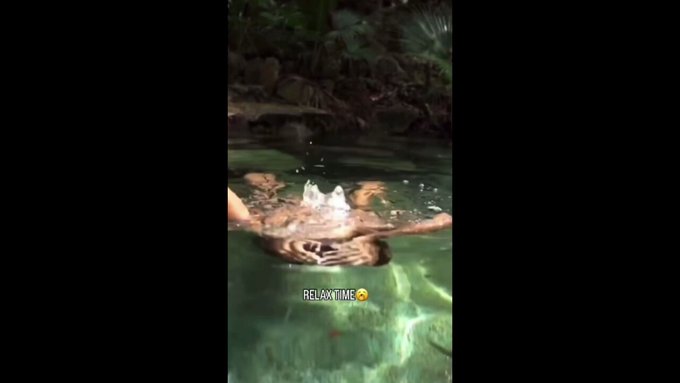 Un bañito ??? https://t.co/bqGZ6xYElh