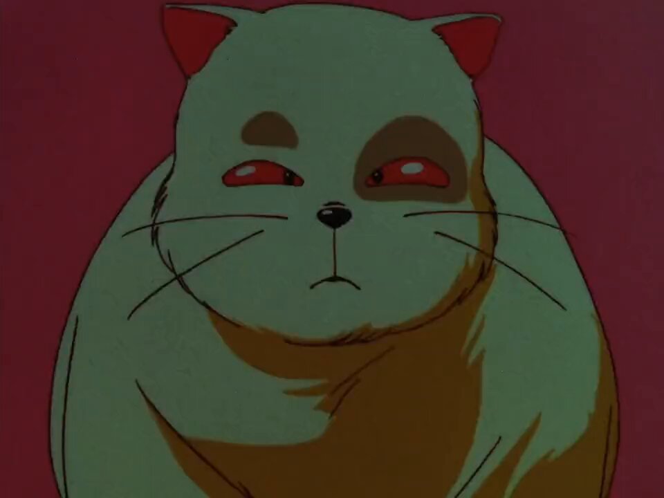 Video oleh @anime8cm