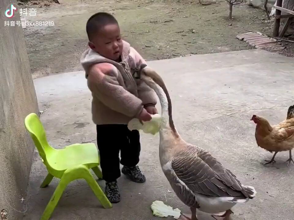 Video by @qsfkbwIhuWLhnjI