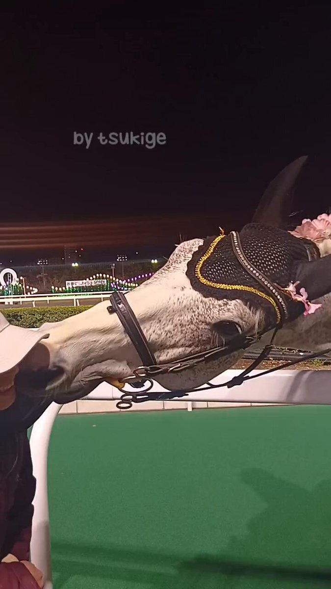 合馬公式アカウント1　2点まとめ 合馬公式アカウント1様 専用 - メルカリ