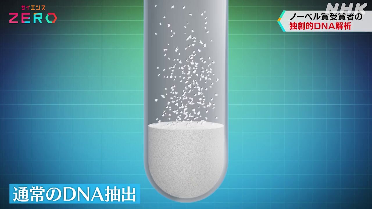 NHKサイエンスZERO on X: 
