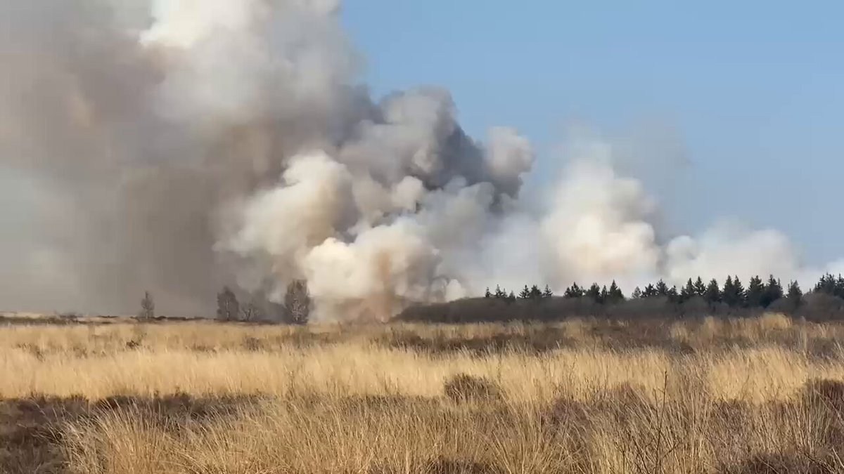 Grote brand Edese heide: brandweerkorpsen ingeschakeld