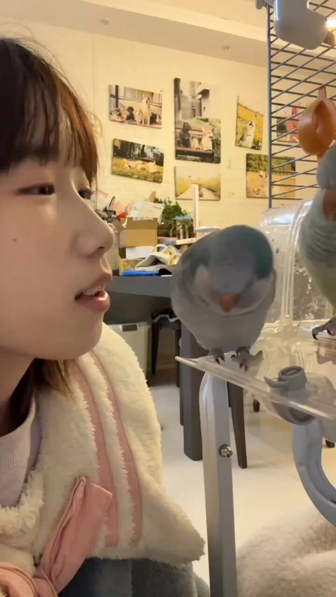 Twitter Image