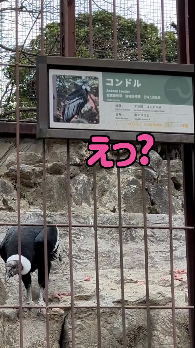 やっしー。/前髪系 (@8484_yasy) / Posts / X