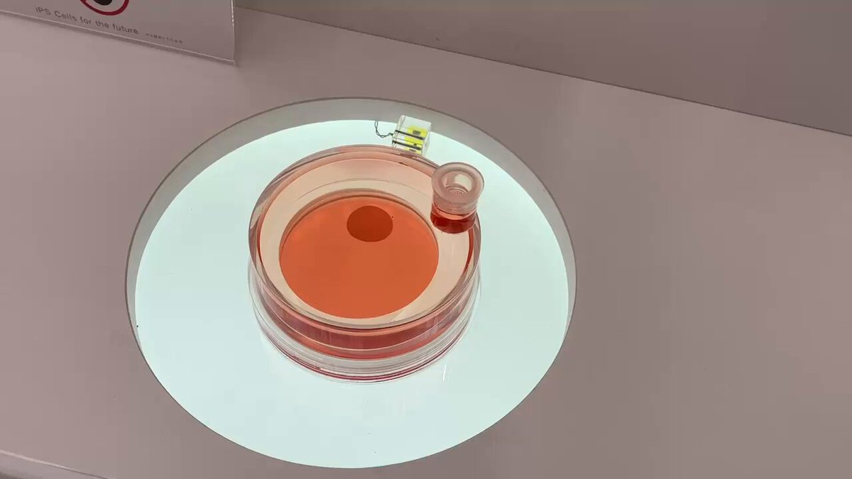 新リンパ療法　イオンチャネル2 RAJAS】新リンパ療法 イオンチャネルⅡ ラジャスイオンゴールド