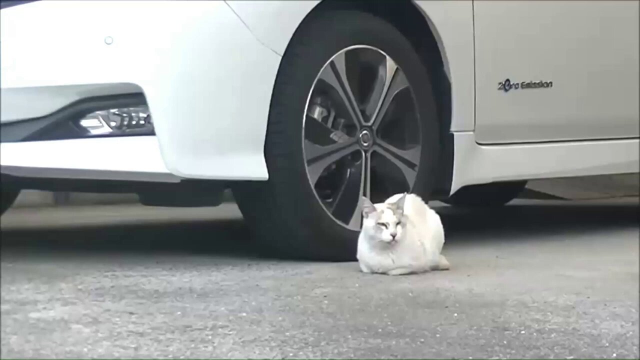 ふる～ちぇ on X: 