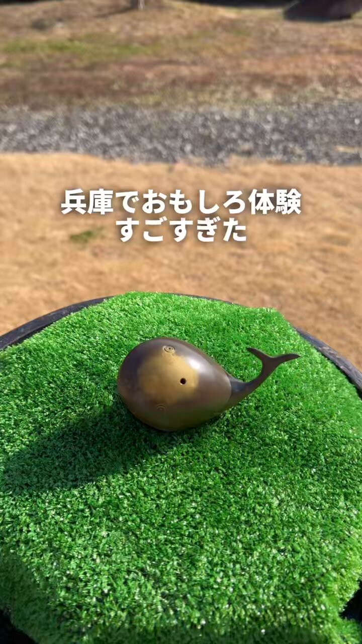 トンちゃん🐷ひとり女子旅 (@tonchan_travel) / X