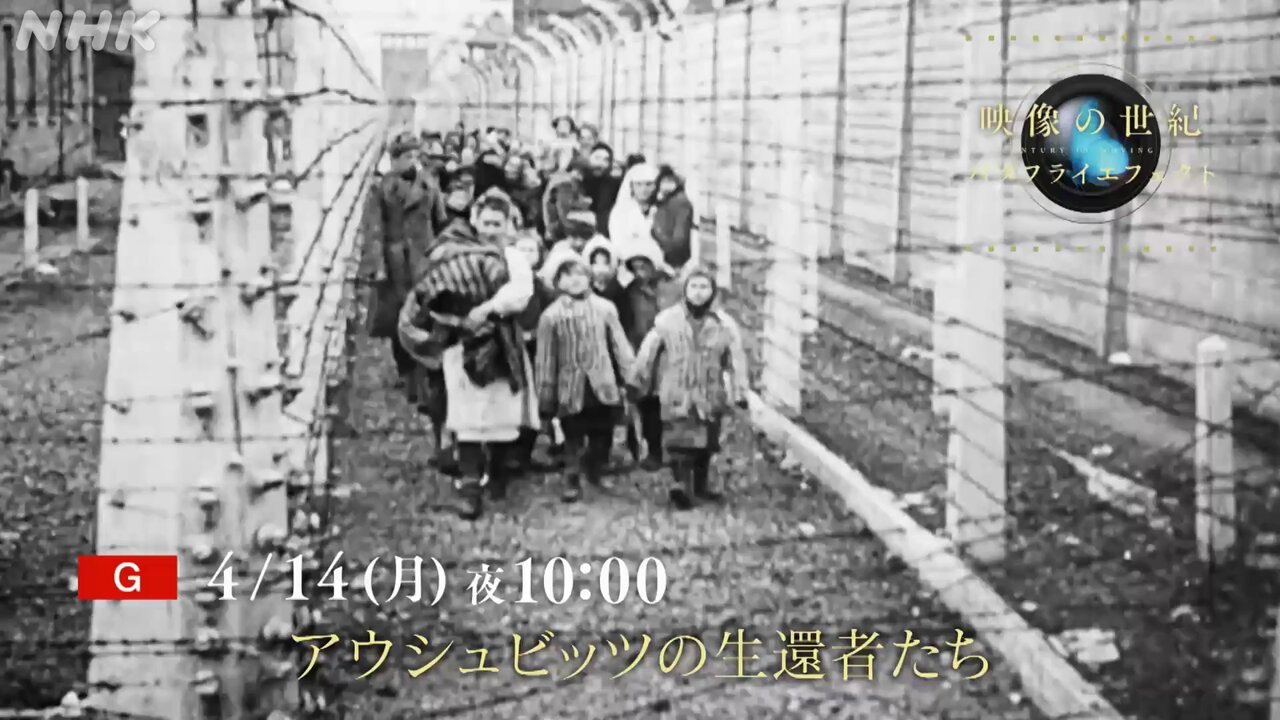 アウシュビッツ収容所DVD 2枚組 NHKドキュメンタリー NHKスペシャル アウシュビッツ 死者たちの告白｜番組｜NHK