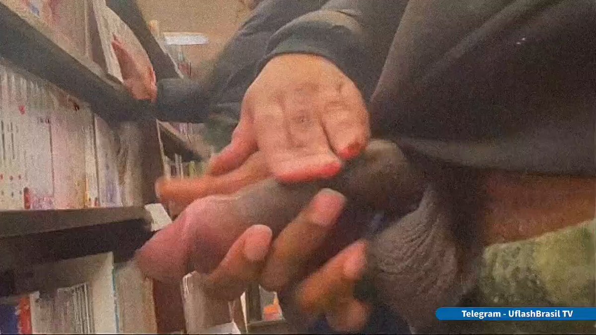 Loko loko (@Lokoloko133)  X