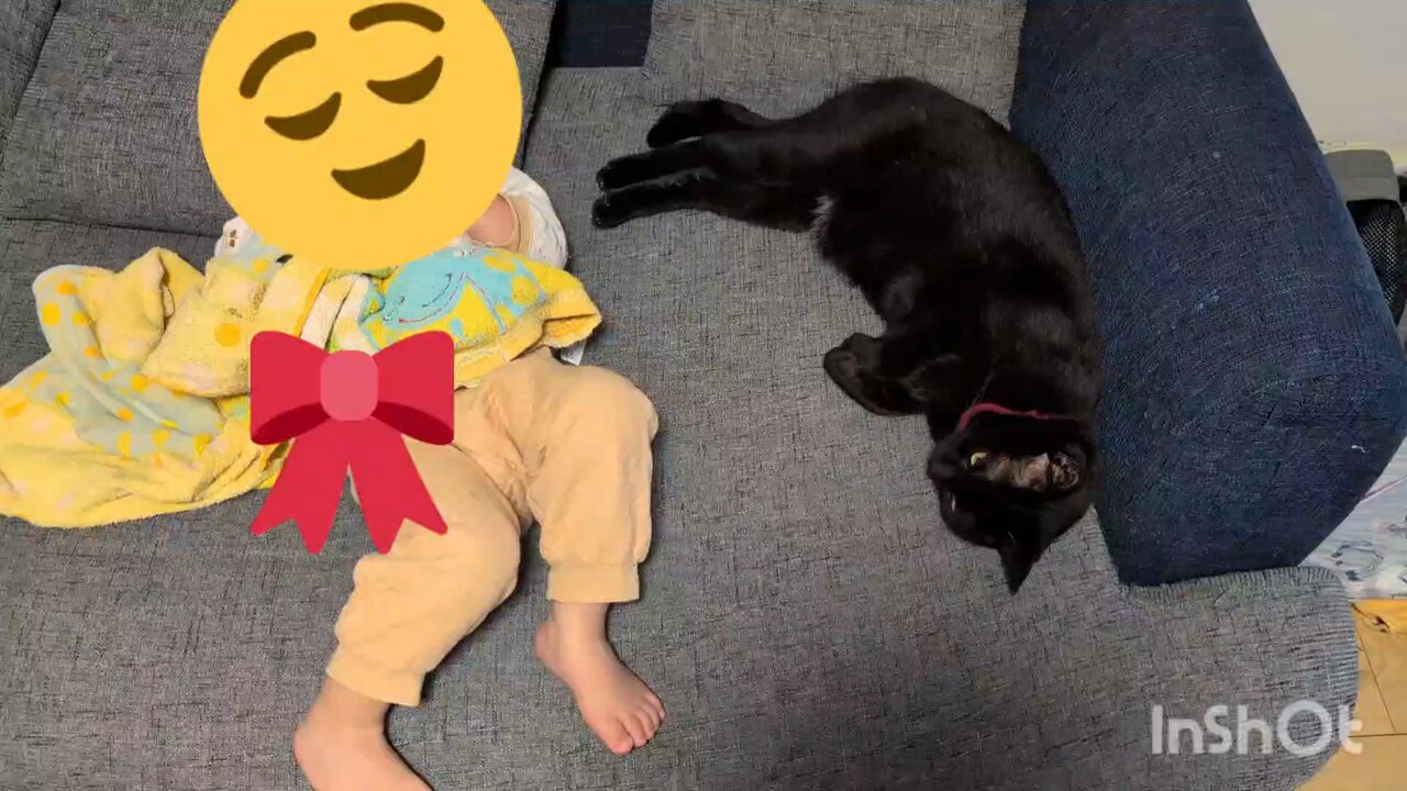 仔猫を拾ったので on X: 仔猫を拾ったので on X: