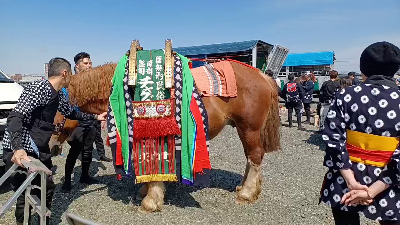 青銀目のチャグチャグ馬コ 青銀目のチャグチャグ馬コ - メルカリ
