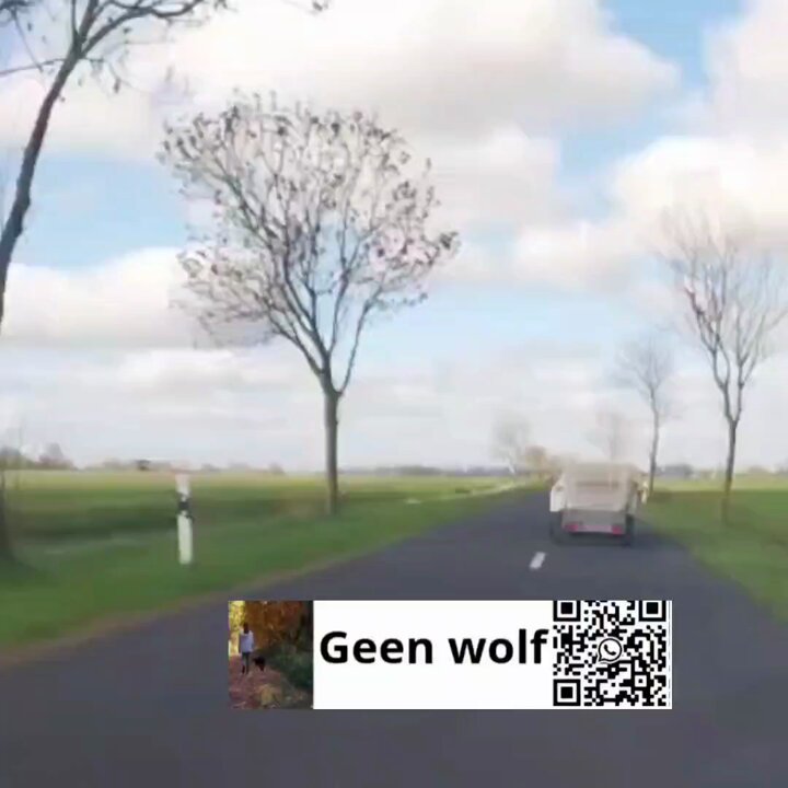 Tweet media two