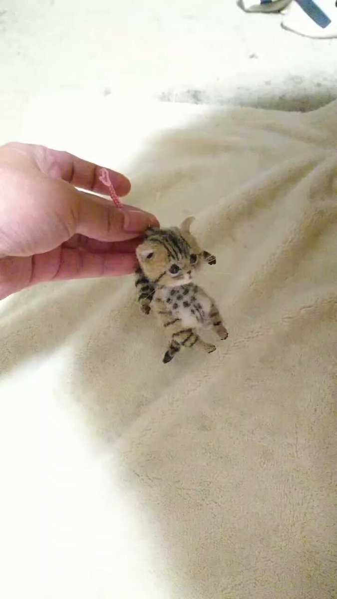 akenani作品 豆猫PECO-LIN akenani様専用作品 豆猫PECO-LIN（@LinPeco's video Tweet）