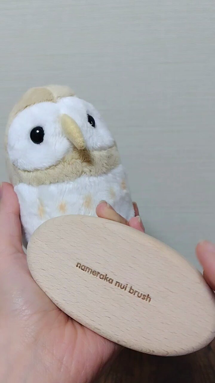 カゲトラが美人ちゃんに手作りぬいぐるみ作りました” | 川崎希