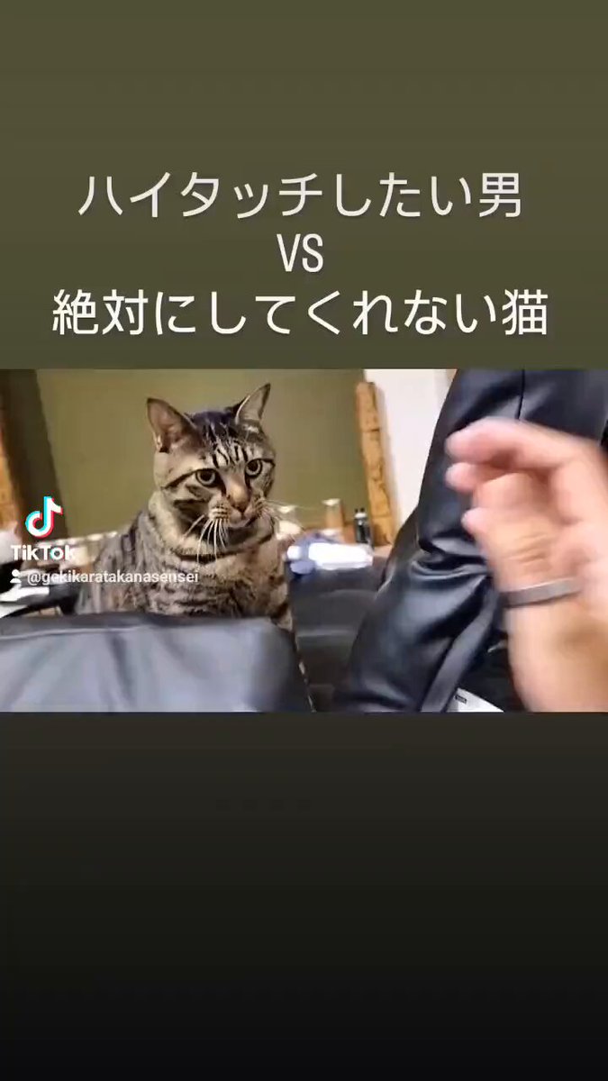 デブ猫 - Αναζήτηση / X
