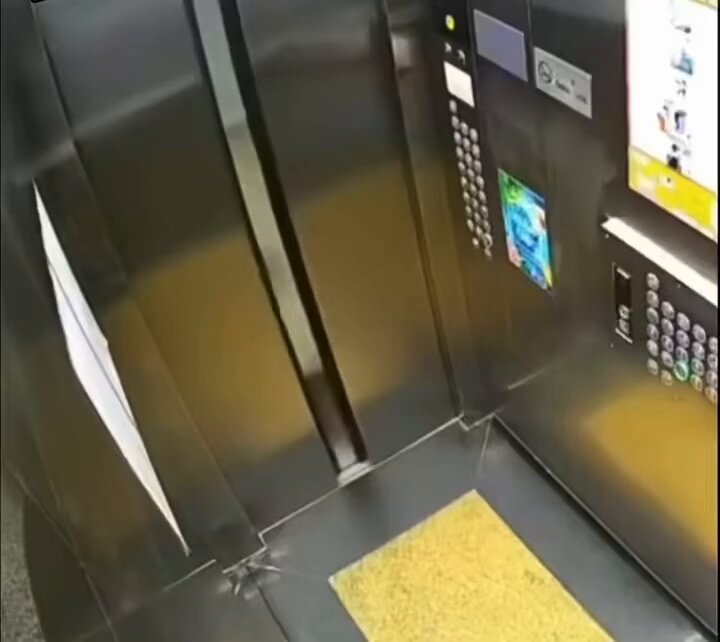 1931839712031113554