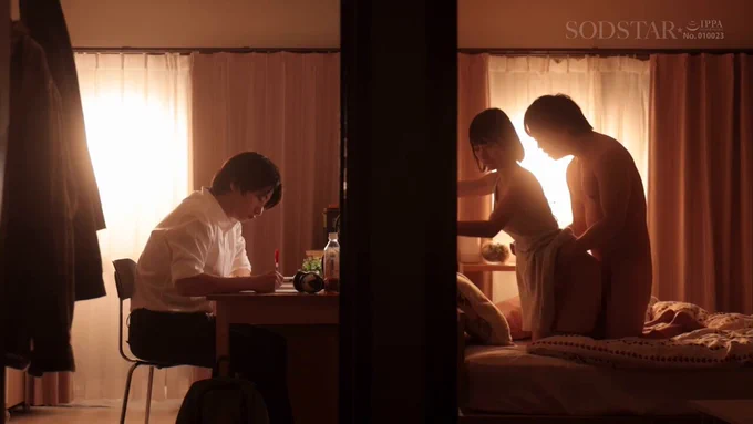 宮島めい もう何年も会話してない化粧っ気ない姉がチャラ男に無理やりヤラれているのを見て、なぜか寝盗られた気持ちになりトラウマ勃起が止まらなくなった