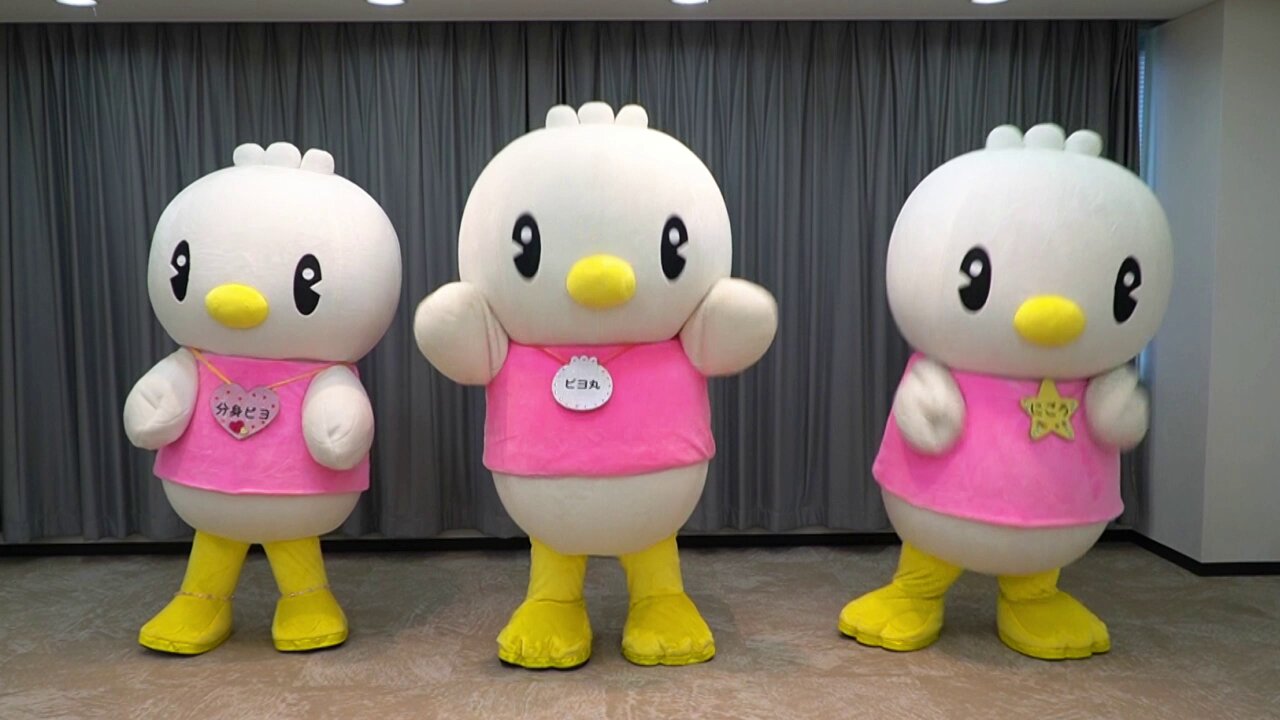 ピヨ丸グッズセット24点 ピヨ丸グッズセット24点