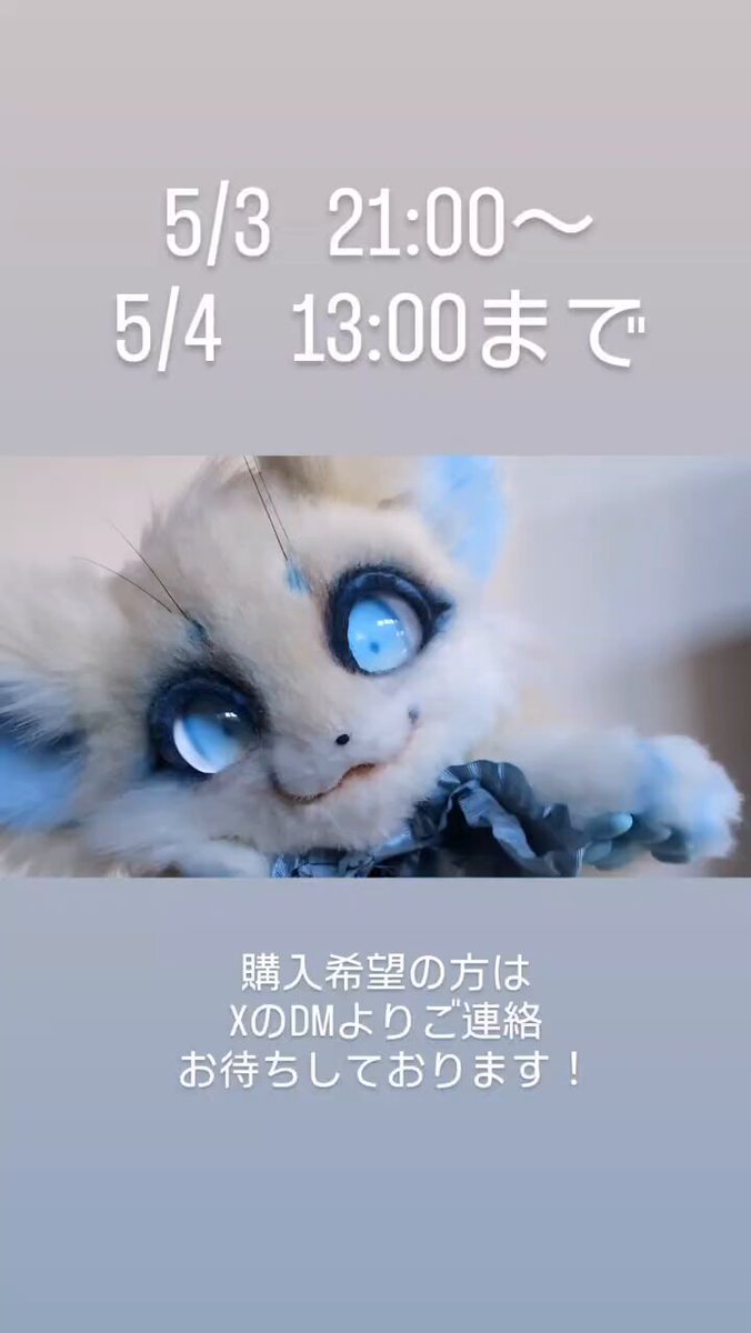 shiro (@_kemono_) / X