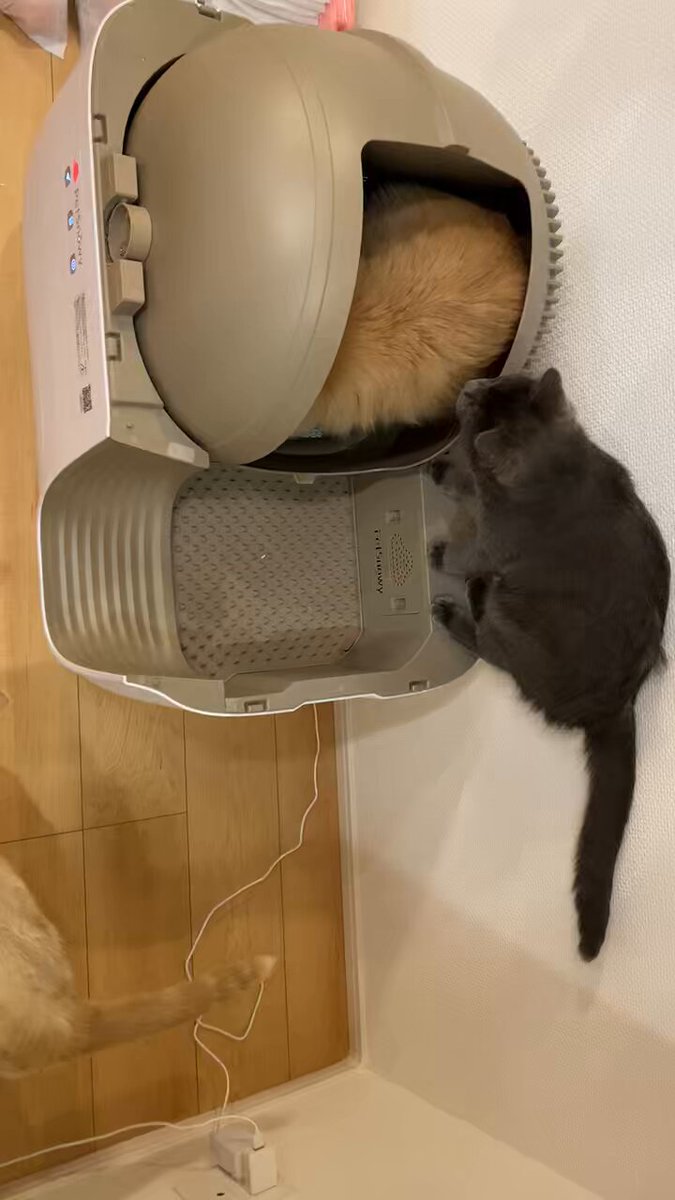 PetSnowy SNOW+ 全自動スマート猫トイレ PS-001 ネコ ねこ