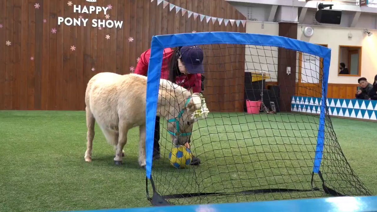 チャチャ - Search / X