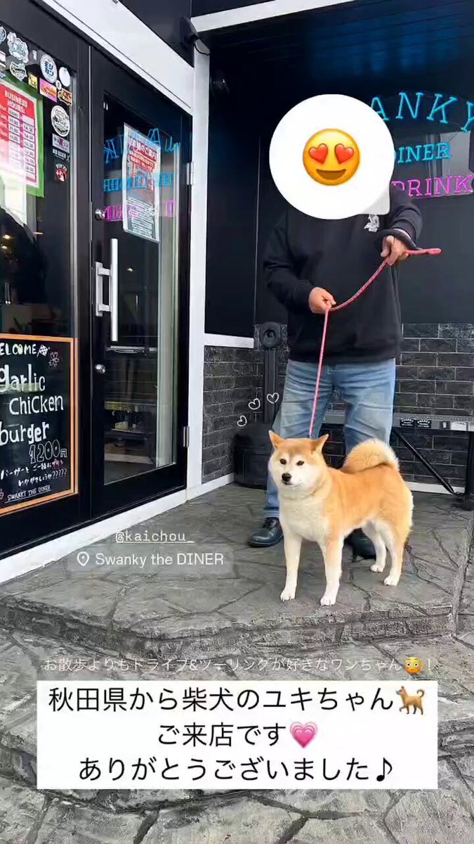 柴犬yuki@バイクlove (@yuki93378501) / Posts / X