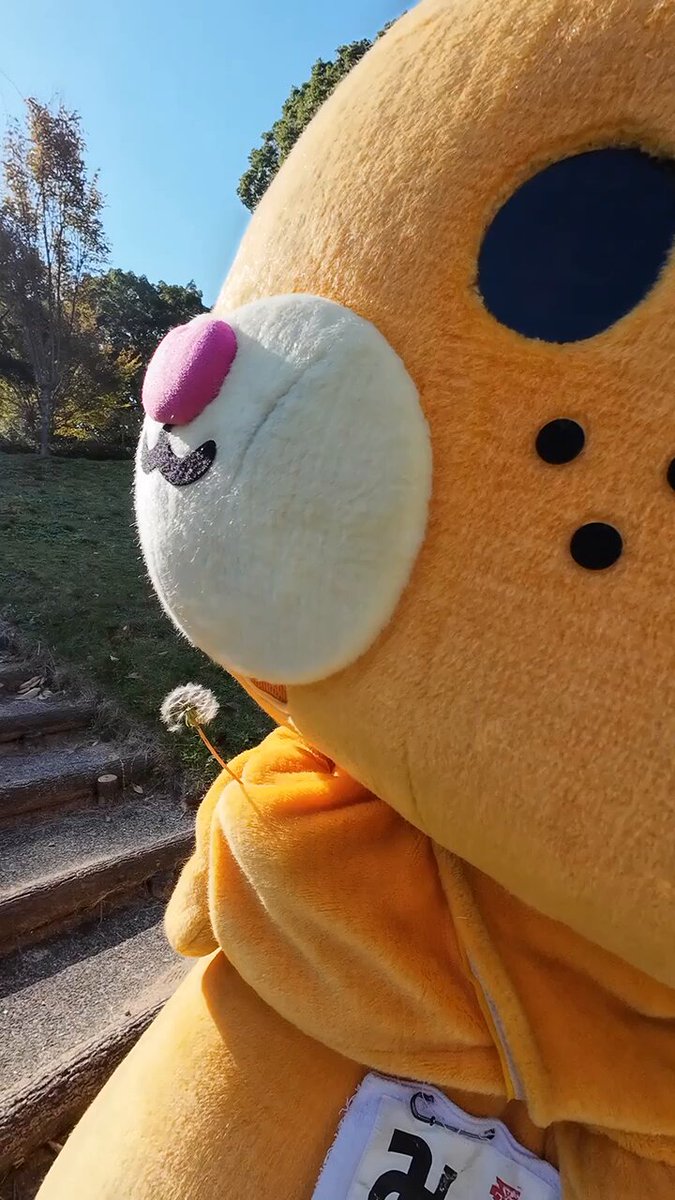 みきゃん【公式】《愛媛県イメージアップキャラクター