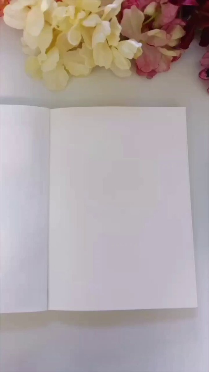 シェルライト版　LION STUDIO  PETテープ 4種　化粧箱　特典メモ付 株式会社Lindo (@shinestudio9) / X