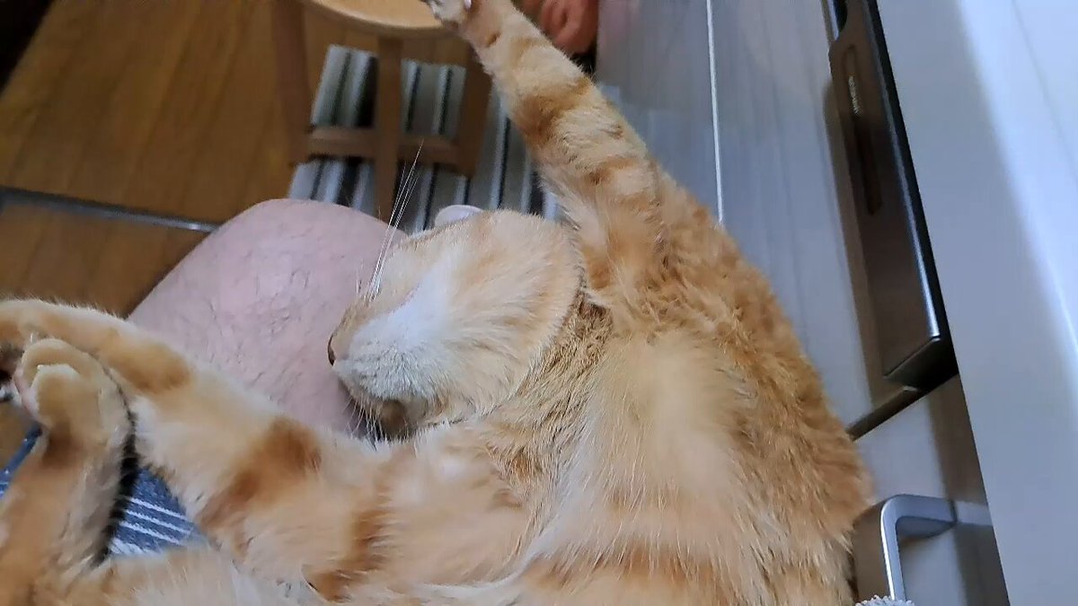 おまつ - Search / X