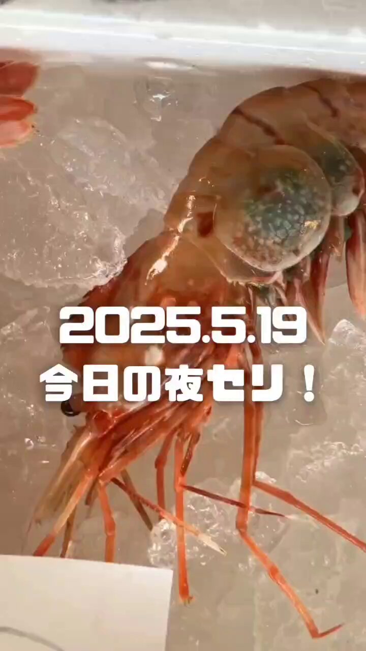 中古】 魚を狩る民俗 海を生きる技/三弥井書店/川島秀一