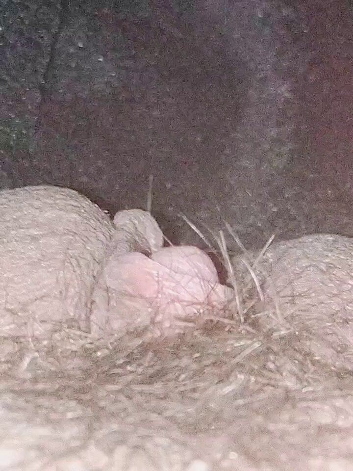 Video oleh @__nyan__nyan_0