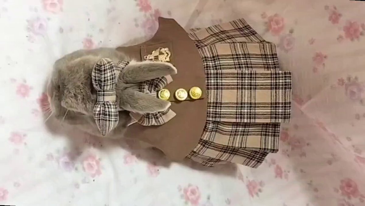 okav.com | HUNTA654我工作的麵包店打工女学生、制服姿态打工的样子