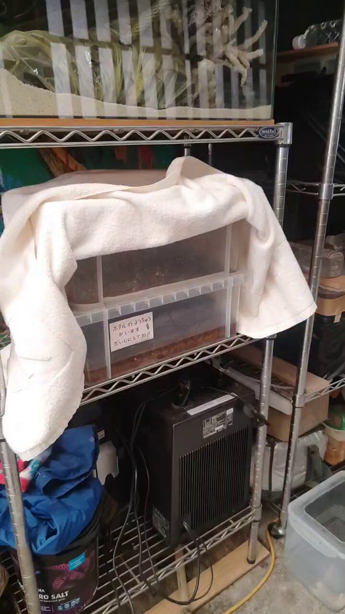 すーさん　専用ページ スーさん – ゲームのまとメモ