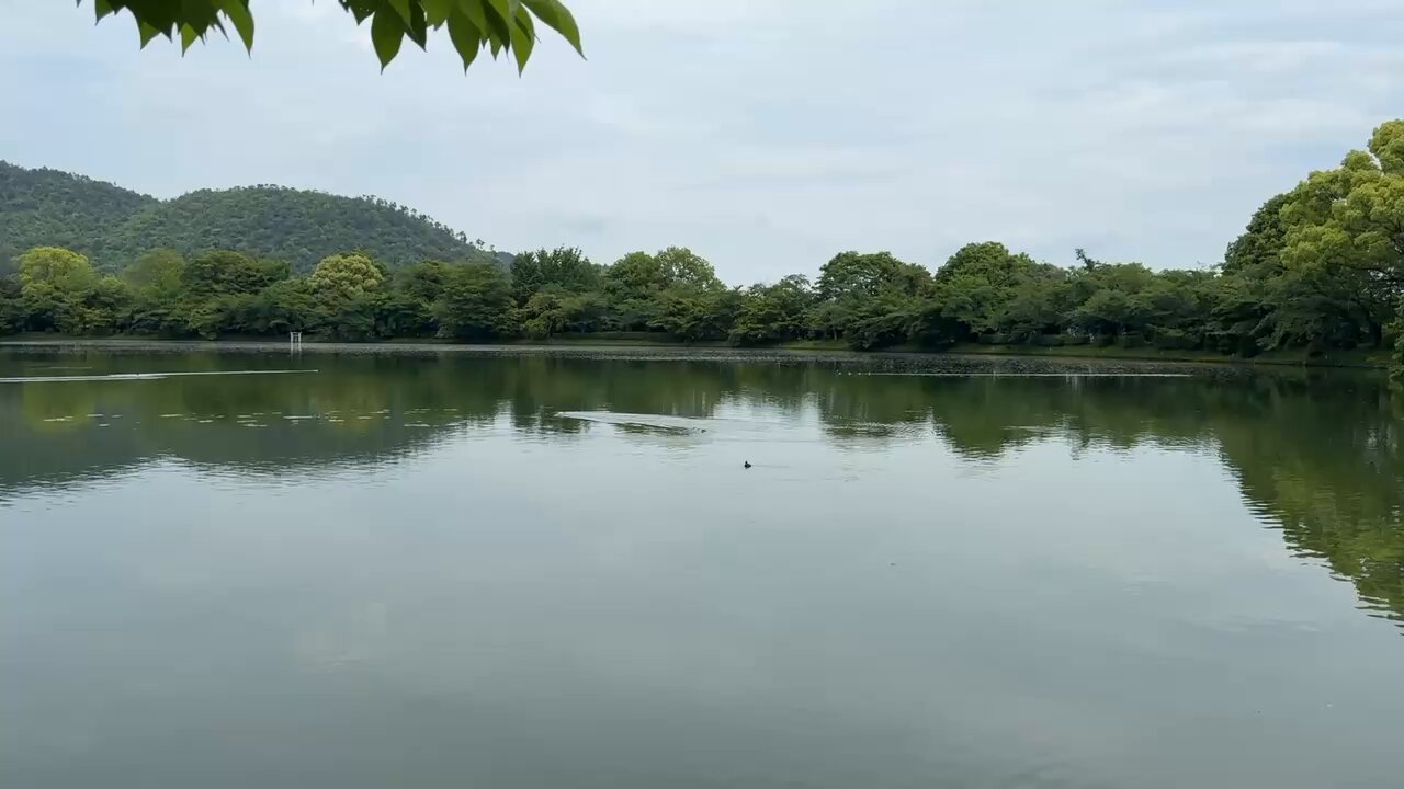 公式】旧嵯峨御所 大本山大覚寺 (@kyoto_daikakuji) / X