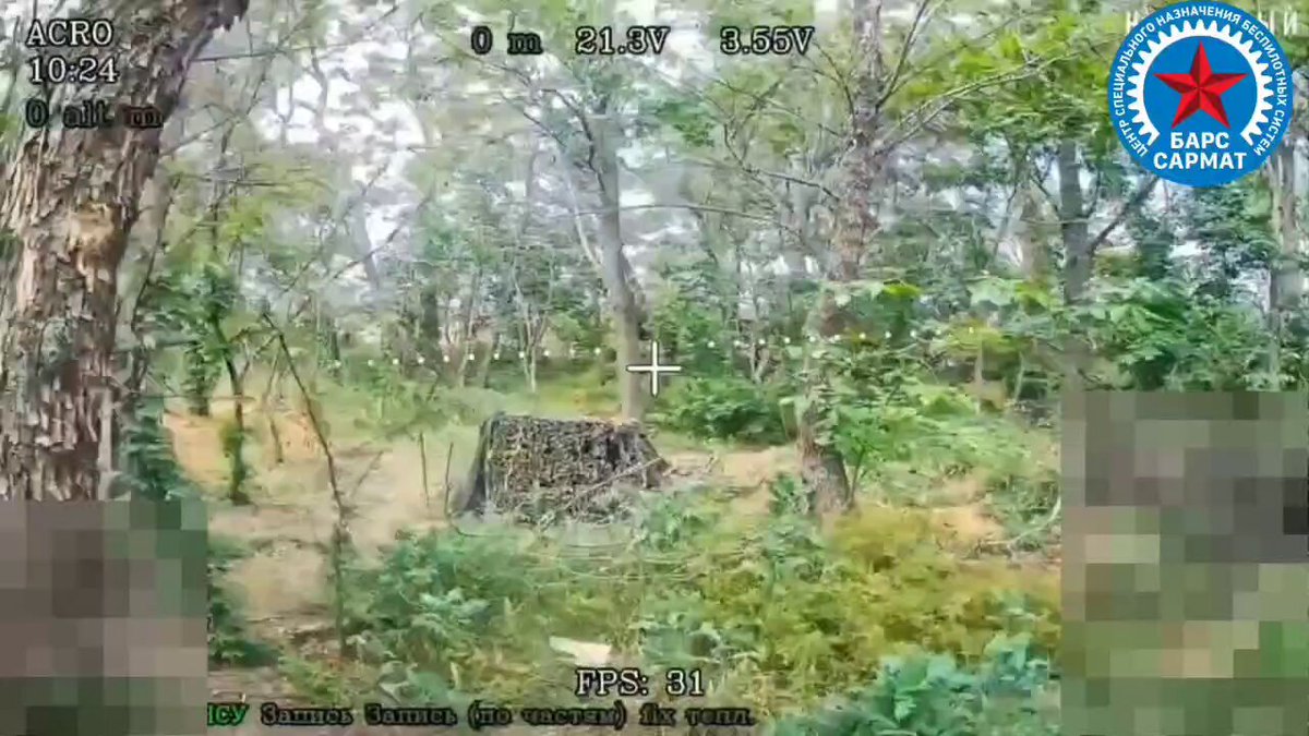 Chukki uchun onlayn porno